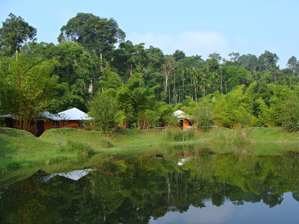 coorg honeymoon destination