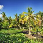 Honeymoon Destinations for Couples
