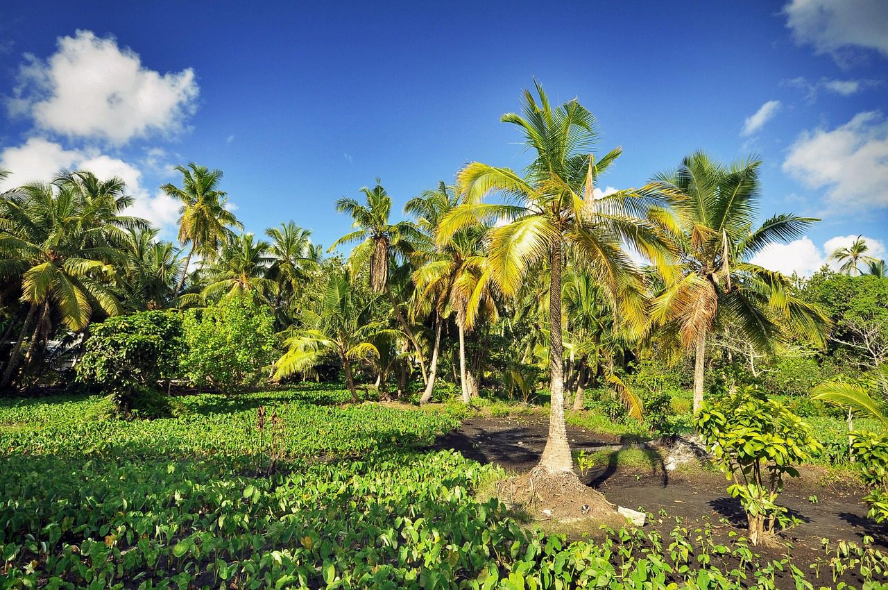 Honeymoon Destinations for Couples